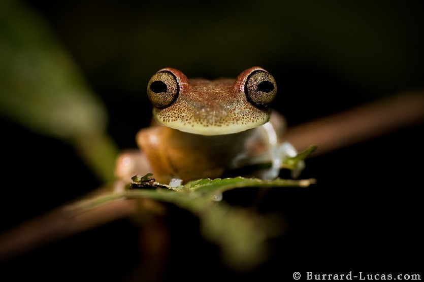 ��֪����ô��Ұ��������д�漯�𣿣�ͼ��