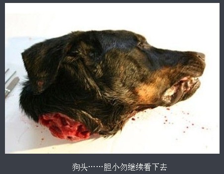 �ֲ���̬���������ݳɹ�ͷ ���˹�������ȫ����