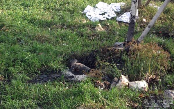 ������磺���ž�ѡ��Ƭ���㿴���磨ͼ��