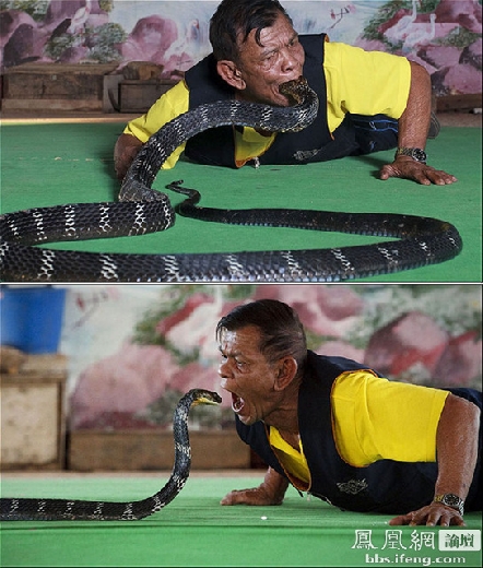 ţ�������� ���ż��˴����㣨��ͼ��