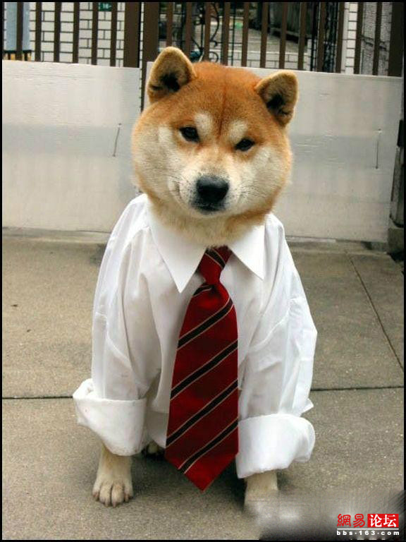 �̵㿴����Լ�е�ţ��ţͼ ��ЦͼƬ