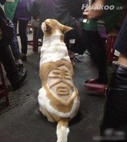 ����Ц����һ��ˮ�絽��Ļ�� ��ЦͼƬ