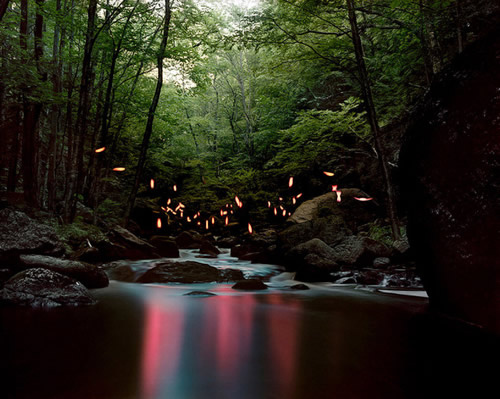 ������ⳡ���۵��ܵƹ⣨��ͼ��