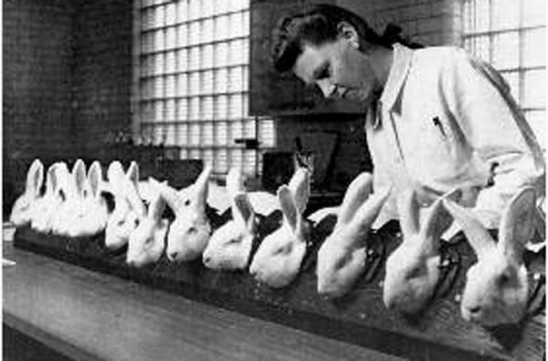 ���أ��Ҳ��̶õĶ���ʵ�����Ƭ��ͼ��