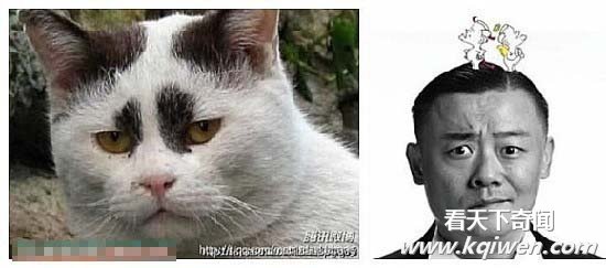 �̵������붯��Ҳ����ײ�� ����Ҳ߯����(��ͼ)