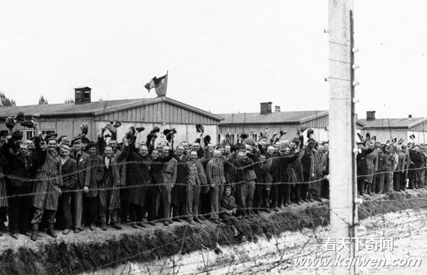 �ҿ���սʱ�¹��ɴ����˷�ָ�ı��� ����Ӫʬ����(��ͼ)