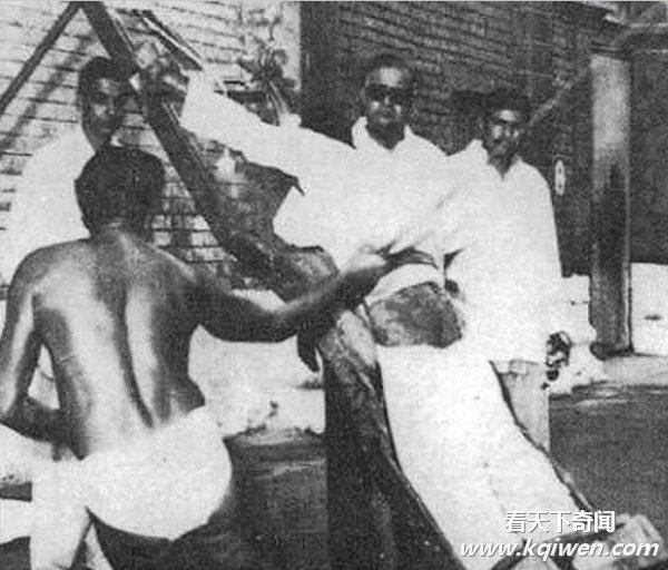 ʵ�ĸ����Ŵ��ѿ��Ӵ�ƨ�ɵ������ֳ� ��û���ϵ��̷�(��ͼ20P)